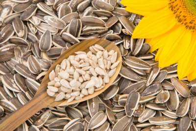 Sunflower seeds