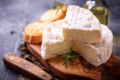 Kamca kyamembarta panira