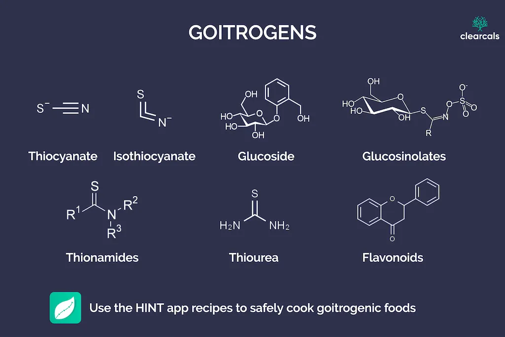 Goitrogenic Foods and Hypothyroidism: What You Need to Know