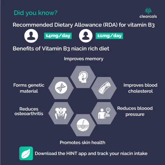 Vitamin B3 helps with muscle growth, muscle repair, recovery, and improved metabolism.