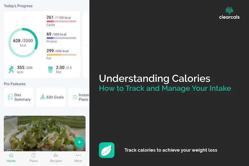 Understanding Calories: How to Track and Manage Your Intake