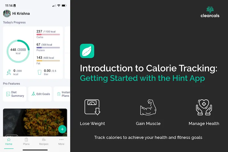 Introduction to Calorie Tracking: Getting Started with the Hint App