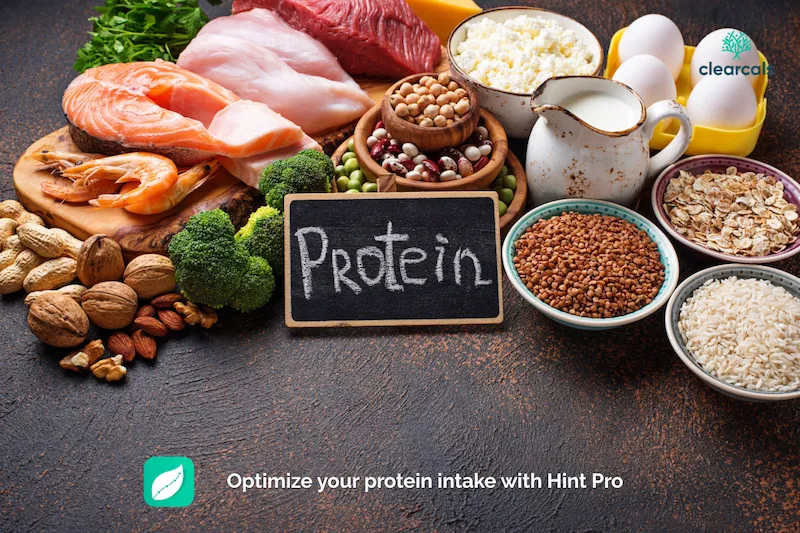 The Role of Protein in Muscle Building