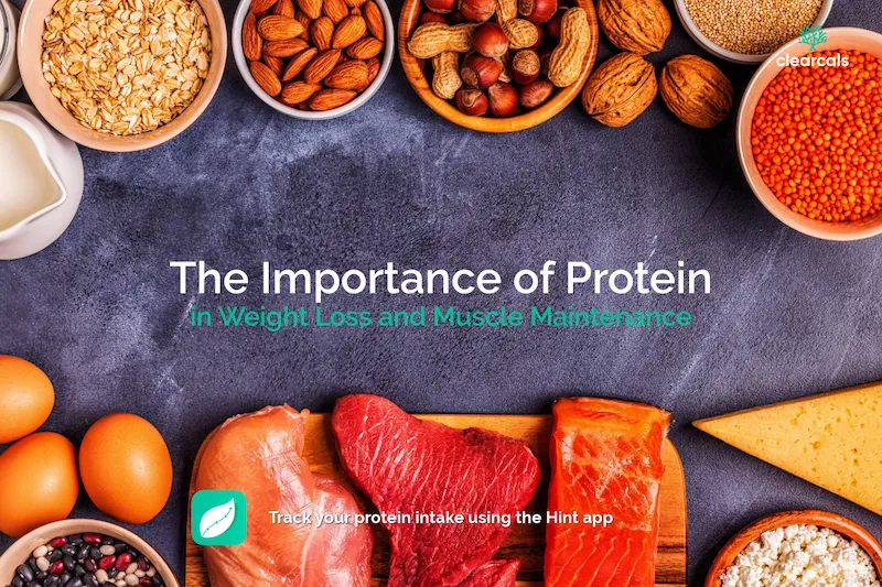 The Importance of Protein in Weight Loss and Muscle Maintenance