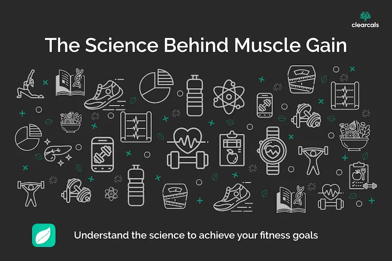 The Science Behind Muscle Gain