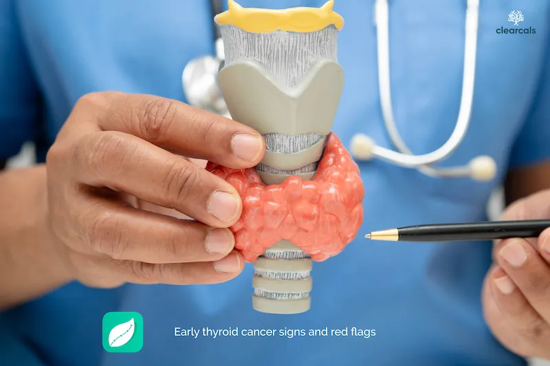 Thyroid Cancer Symptoms: Early Signs, Red Flags, and When to See a Doctor