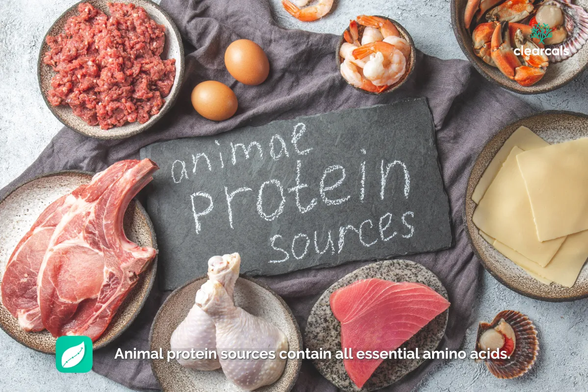 What_is_animal_protein Examples of animal protein include: Chicken, turkey, and lean beef Fish and seafood Eggs and dairy products like milk, cheese, and yogurt