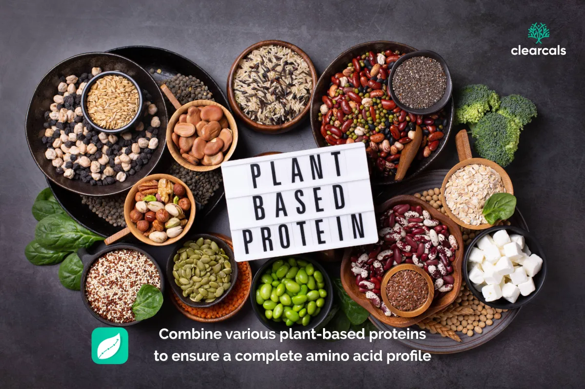 What_is_plant_based_protein Examples of plant based protein sources include: Beans, lentils, and chickpeas Tofu, tempeh, and edamame Nuts, seeds, and quinoa