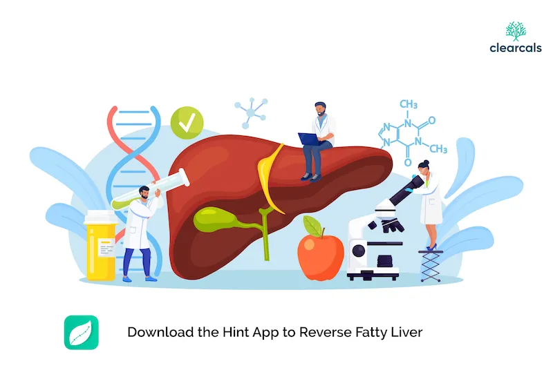 Fatty Liver क्या होता है? लक्षण, कारण और इलाज | Fatty Liver in Hindi