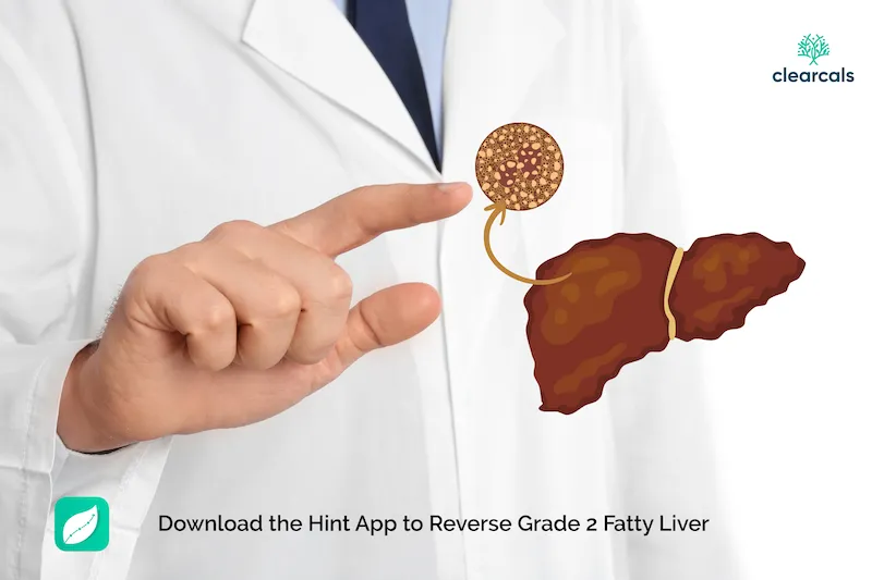 Grade 2 Fatty Liver: Symptoms, Dangers & How to Reverse It