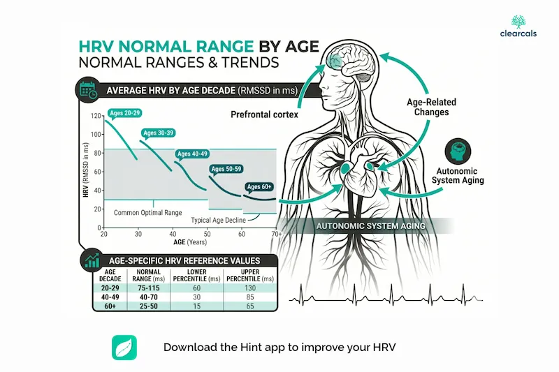 HRV Normal Range by Age: Chart, Reference Values and What Your Score Means