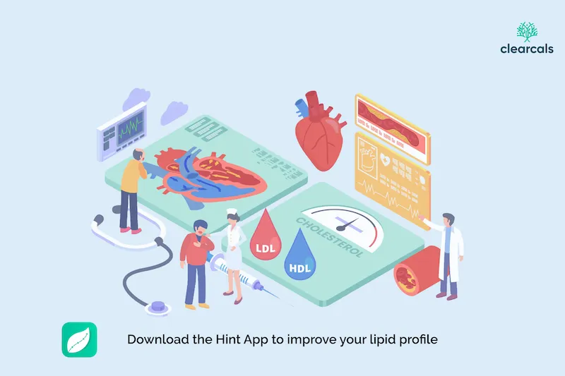 Lipid Profile Test: Normal Range, What It Measures & How to Read Your Report