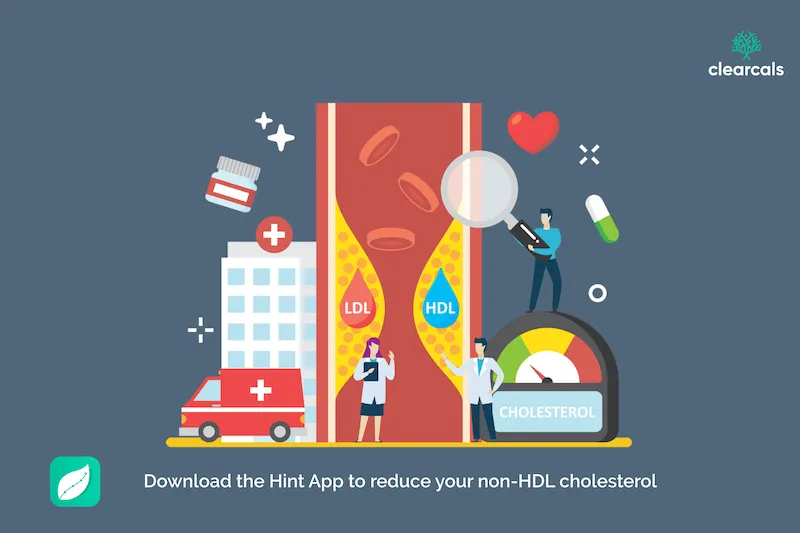 Non-HDL Cholesterol: What It Is, Normal Range & Why It Predicts Heart Risk Better Than LDL