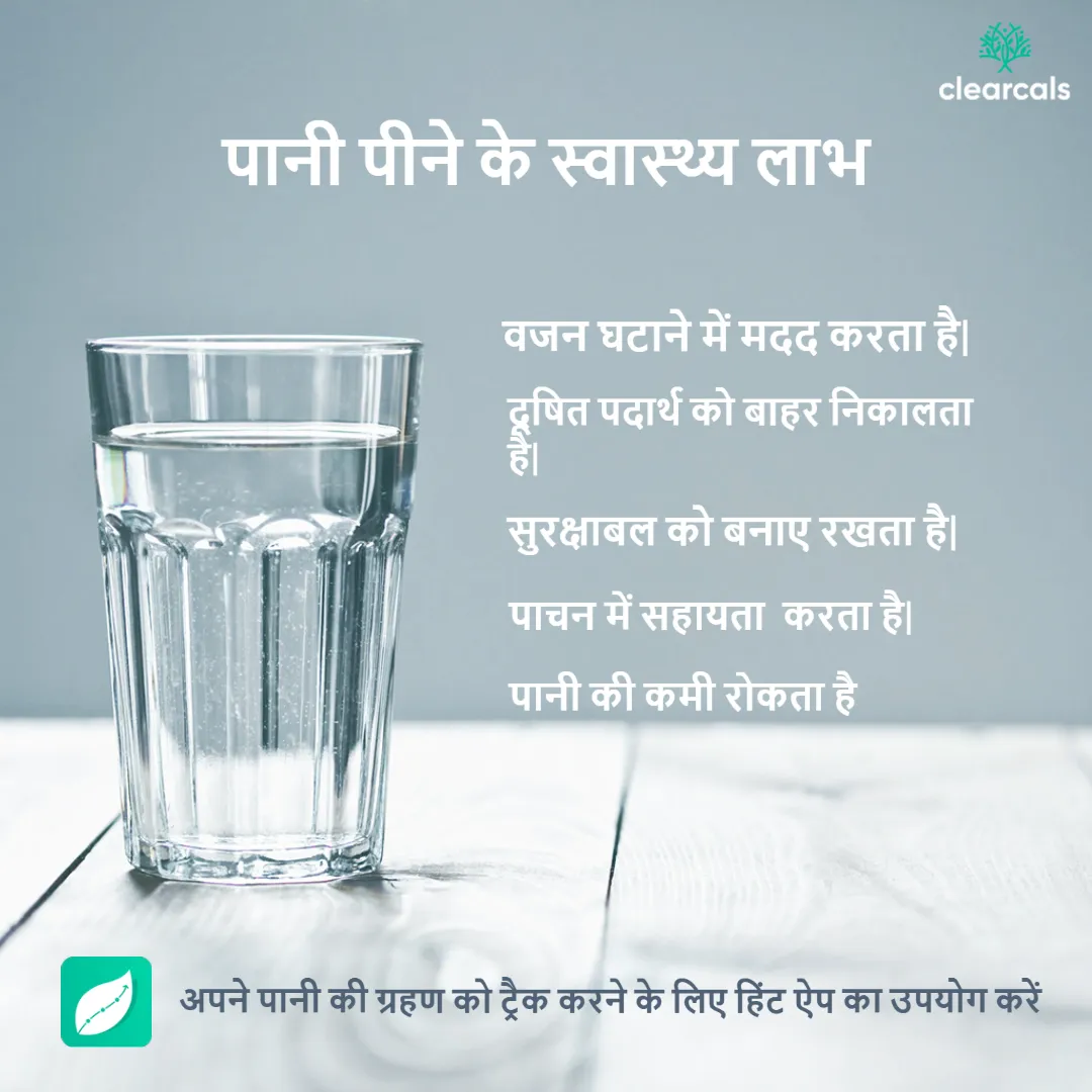 अपने आप को हाइड्रेटेड रखने के लिए पर्याप्त मात्रा में पानी शामिल करें।हिंट ऐप (Hint app) का उपयोग करके अपनी पानी की खपत को ट्रैक करें।