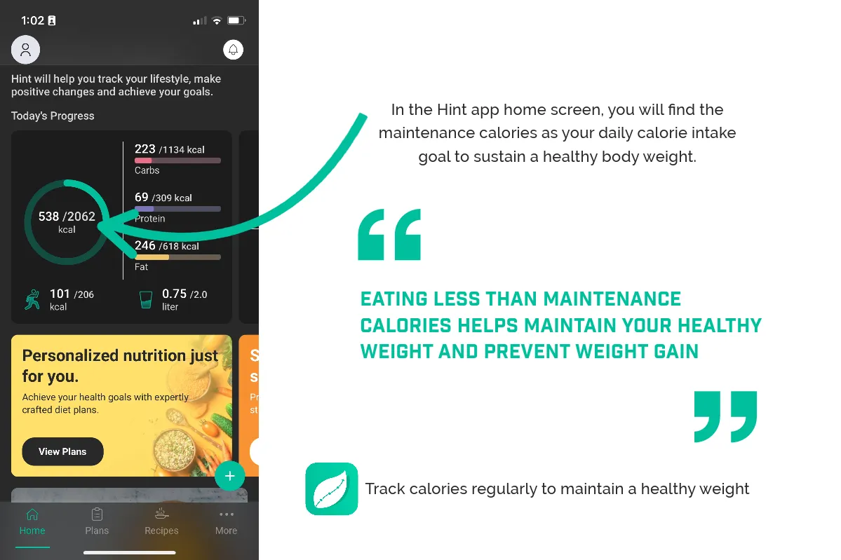 use-hint-to-calculate-maintenance-calories If math isn't your thing, you can make it easy by downloading the Hint app, which calculates your maintenance calories after creating your profile.