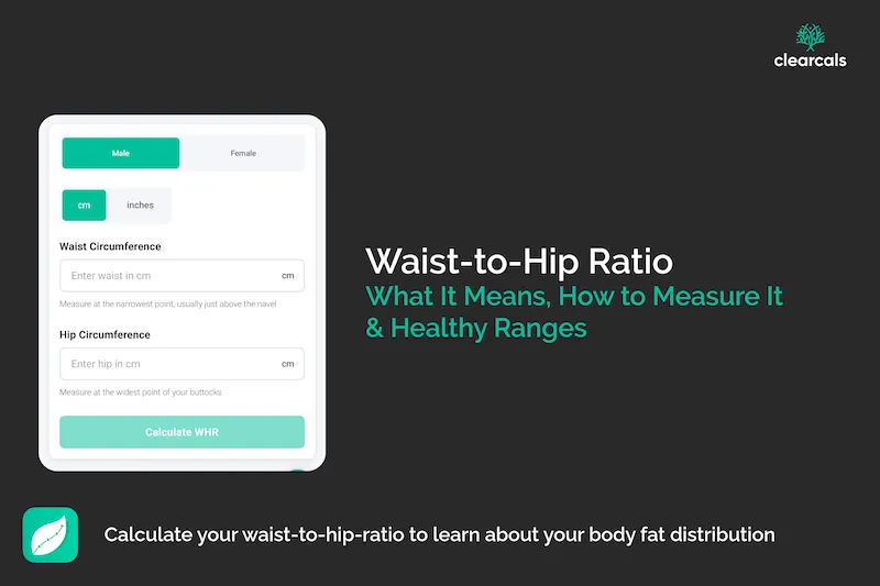Waist-to-Hip Ratio: What It Means, How to Measure It & Healthy Ranges