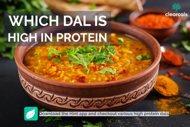Which Dal is High in Protein?